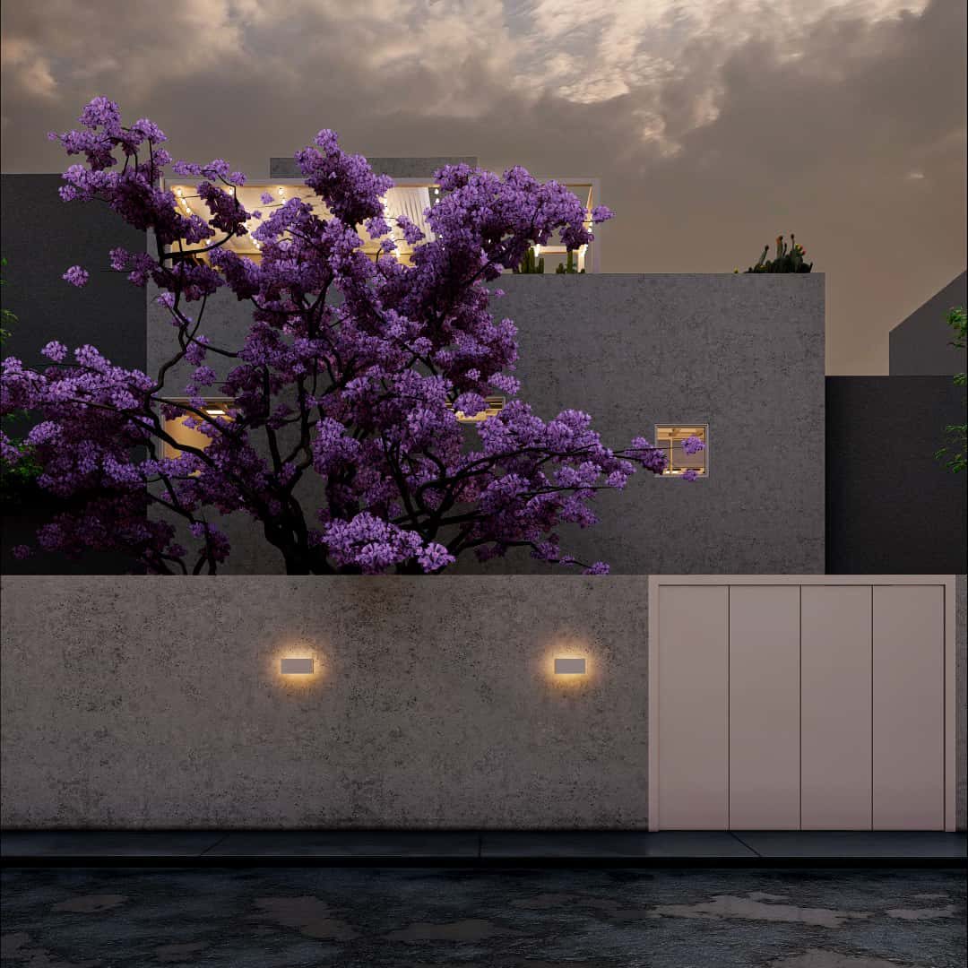 Casa Lienzo