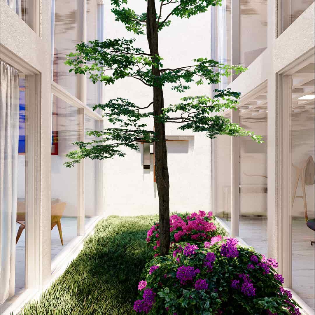 jardin central 02